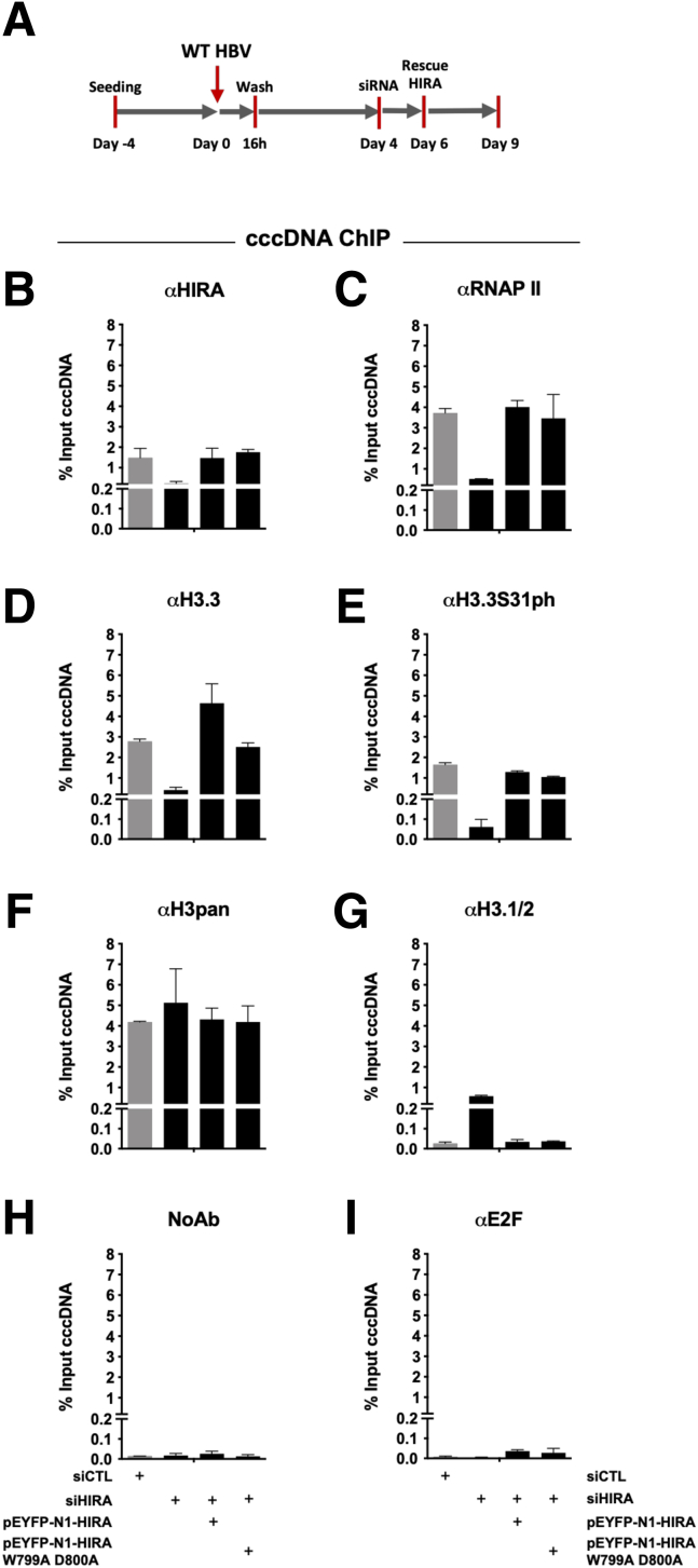 Figure 12