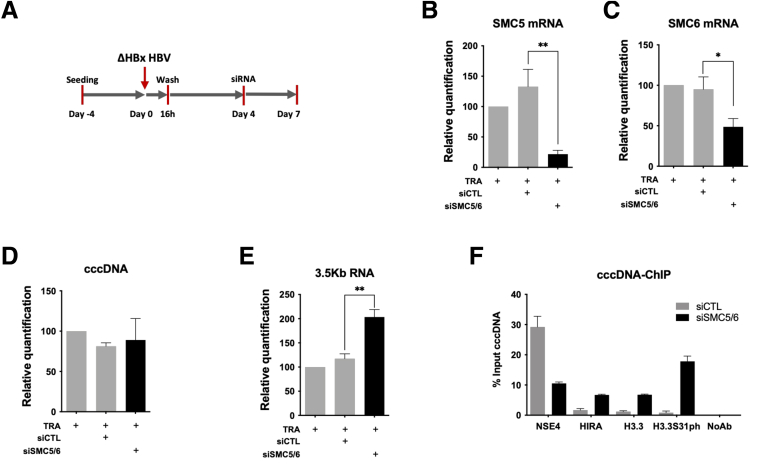 Figure 10