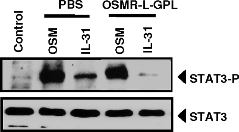 FIGURE 10.