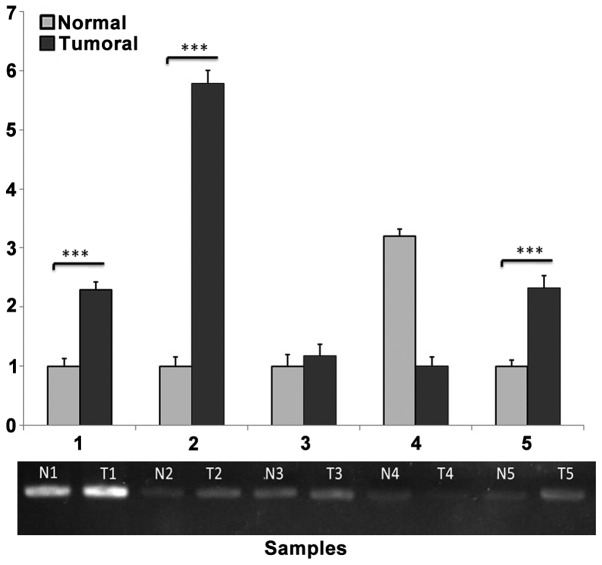 Figure 3.