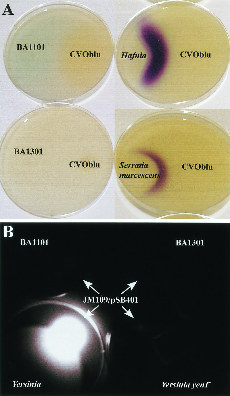 FIG. 5.