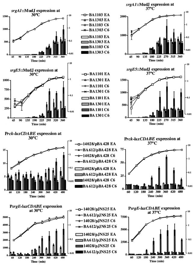 FIG.3.