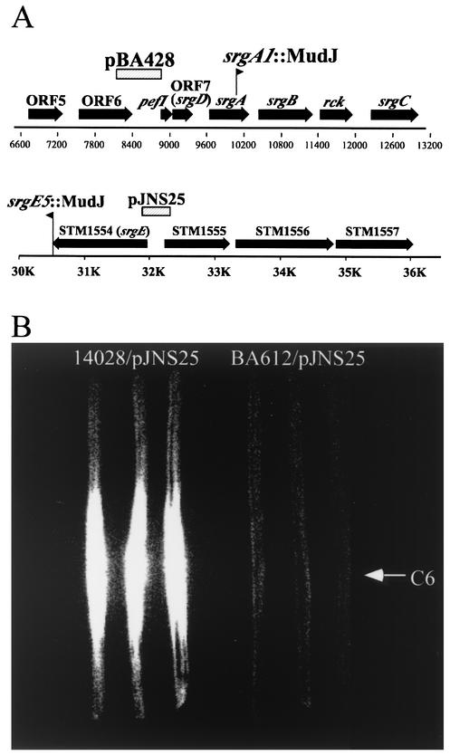 FIG. 1.