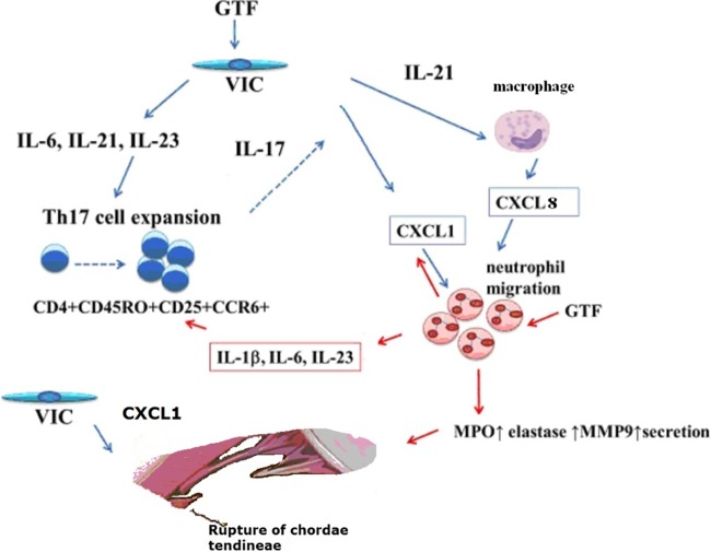 FIG 6