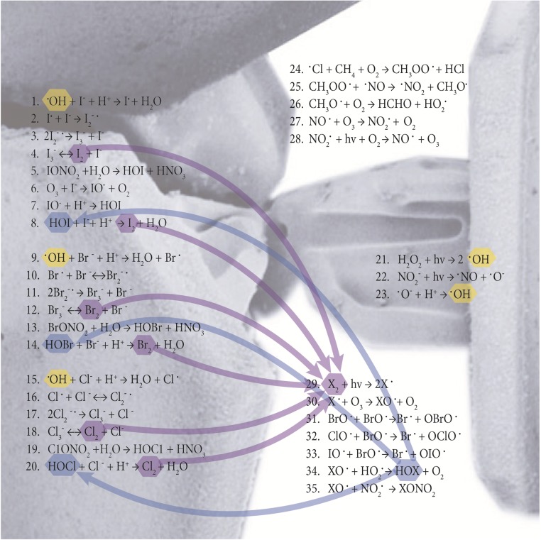 Fig. 1.