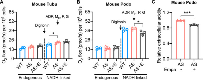 Figure 3—figure supplement 1.