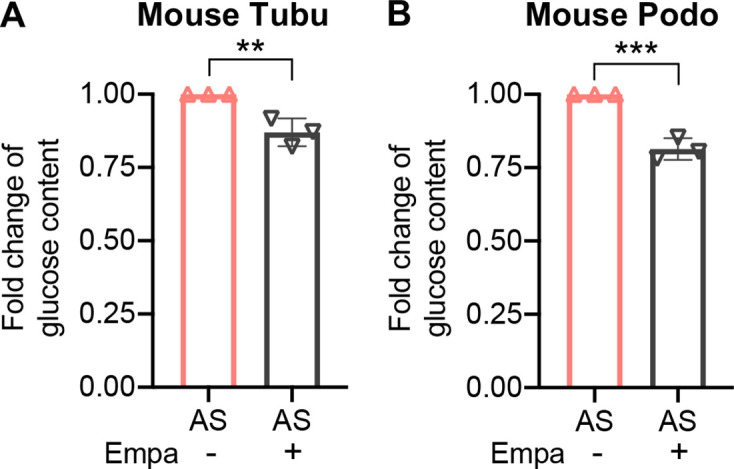 Figure 2—figure supplement 1.