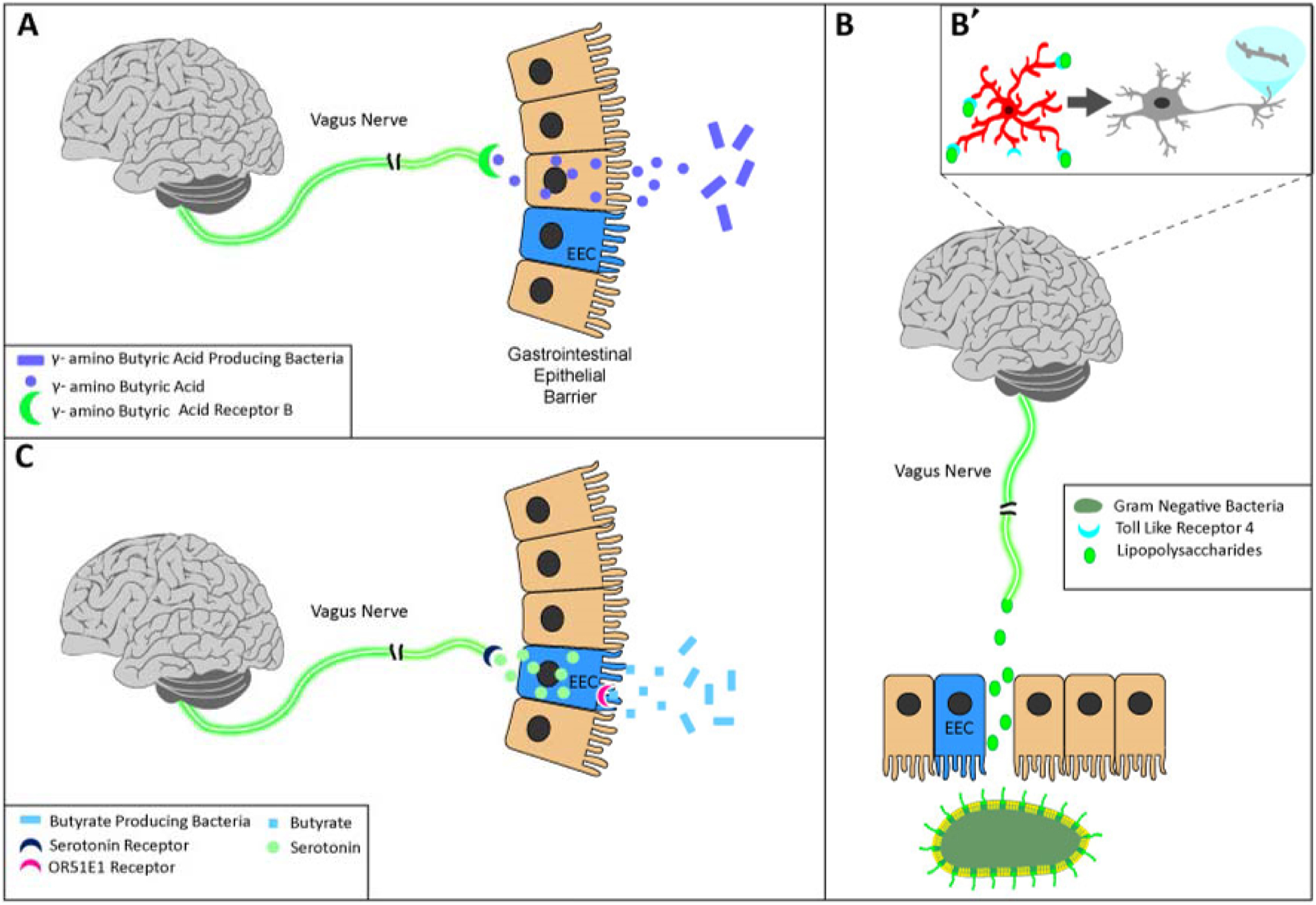 Figure 2.