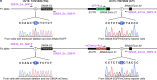 Extended Data Figure 10.