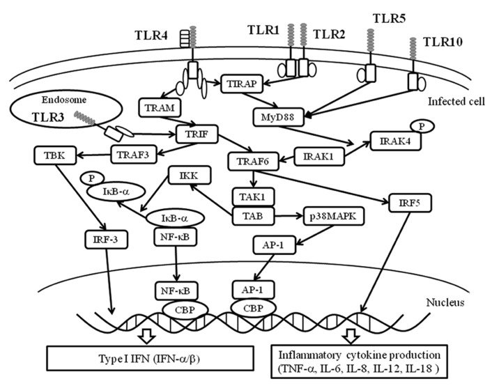 FIGURE 3