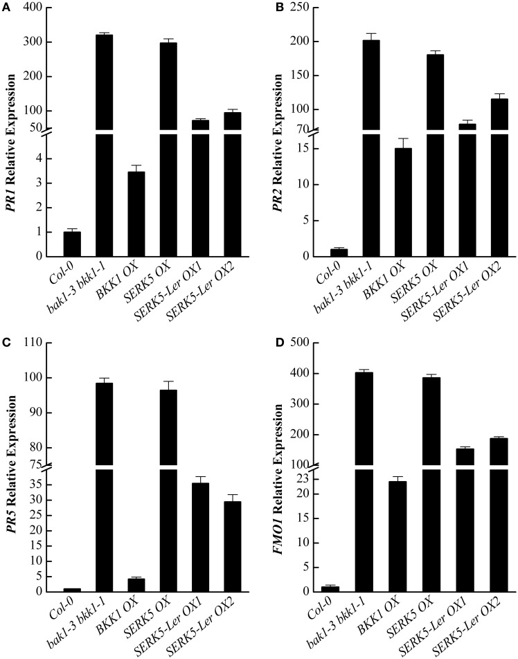 Figure 11