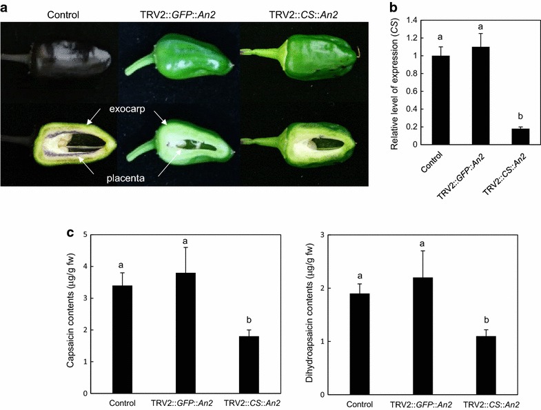 Fig. 4