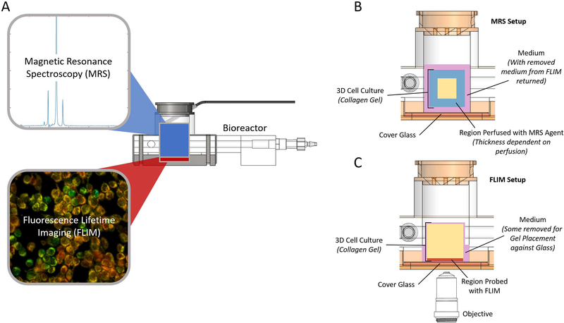 Figure 2: