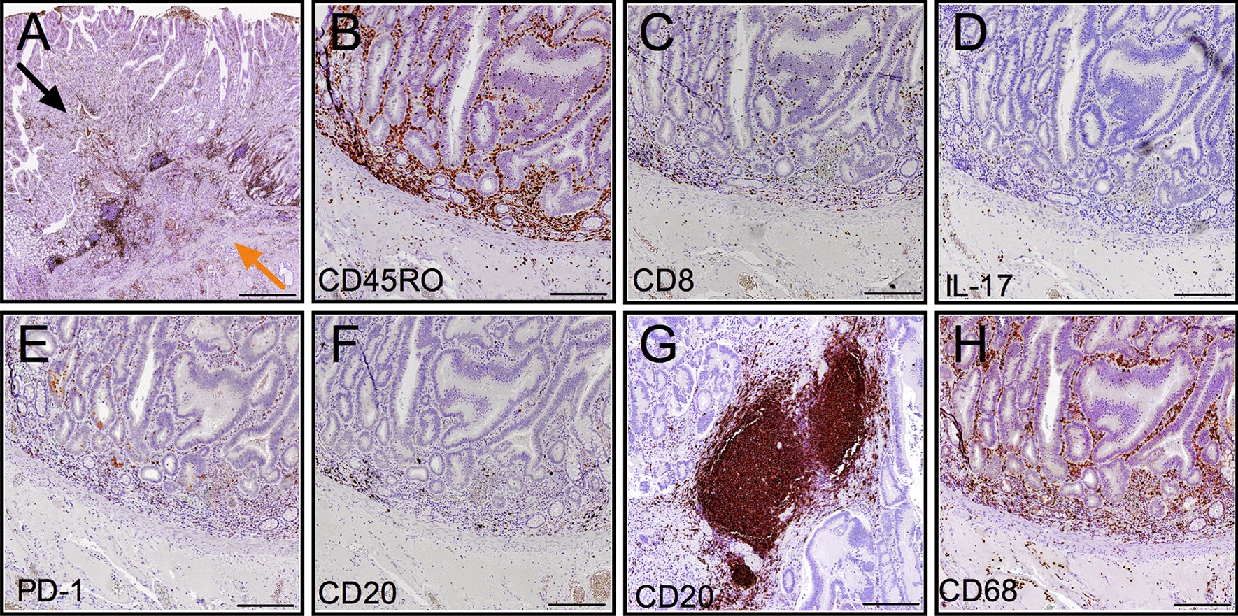 Fig. 1