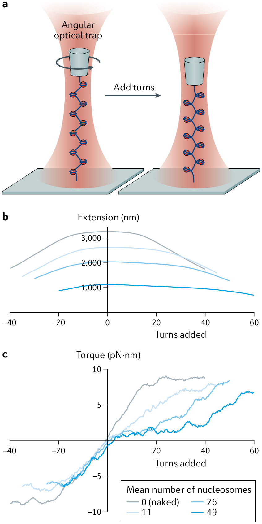 Fig. 6 |