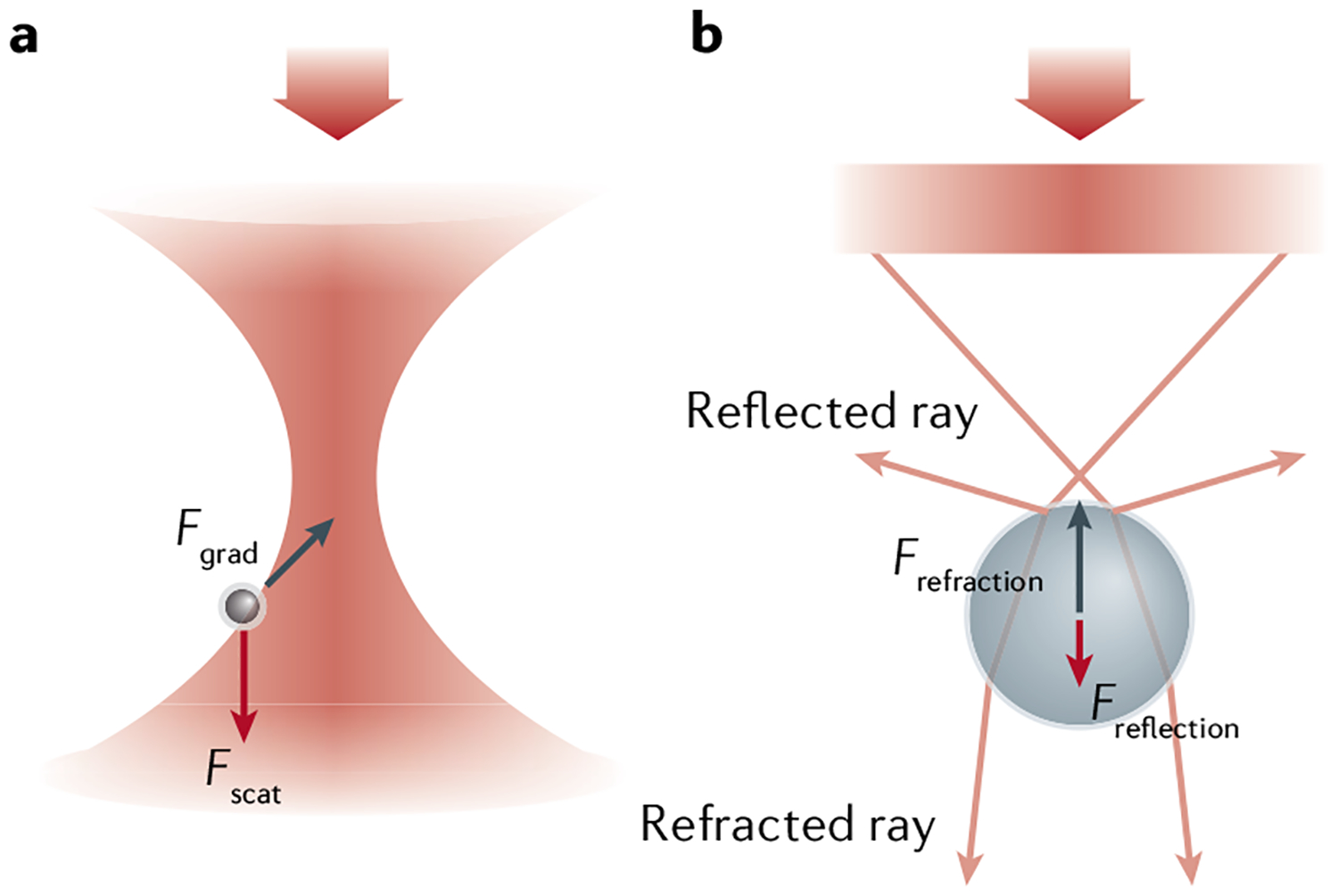 Fig. 1 |