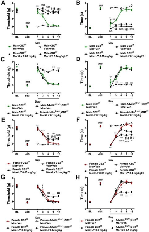 Figure 11.