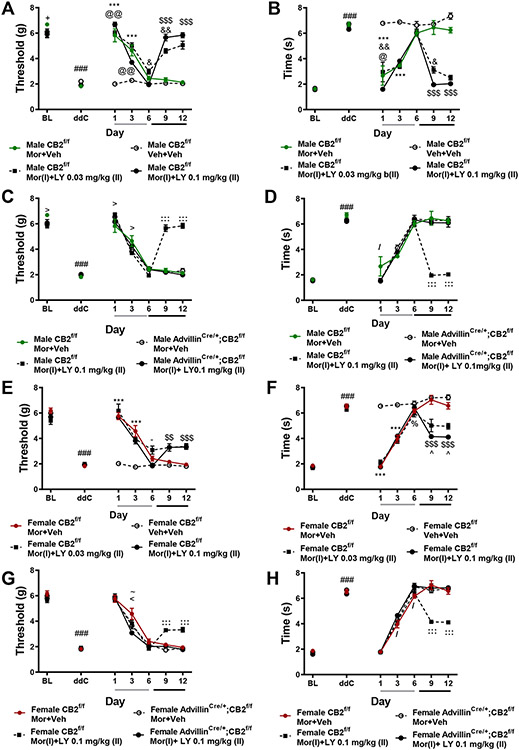 Figure 12.