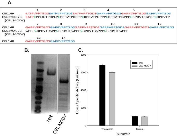 FIGURE 1.