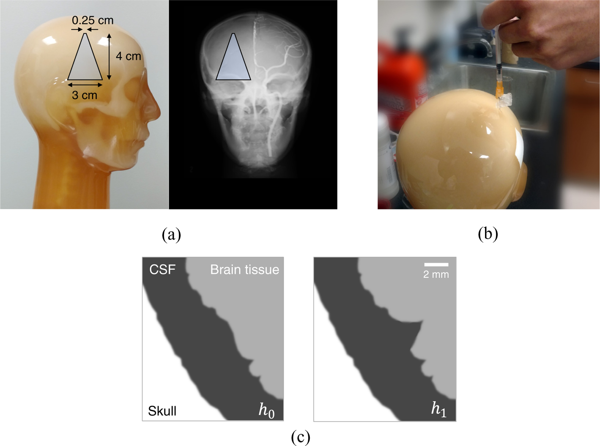 Figure 2.