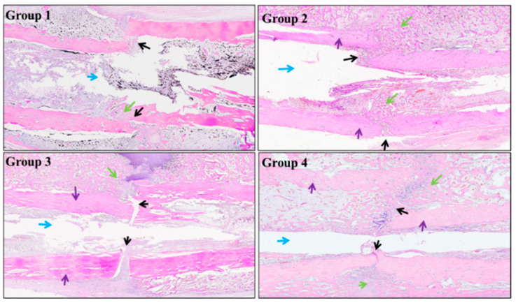 Figure 9