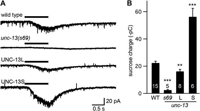 Figure 2—figure supplement 1.