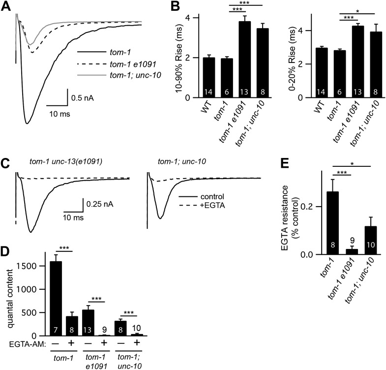 Figure 7—figure supplement 2.