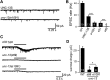 Figure 5—figure supplement 1.