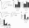 Figure 7—figure supplement 2.