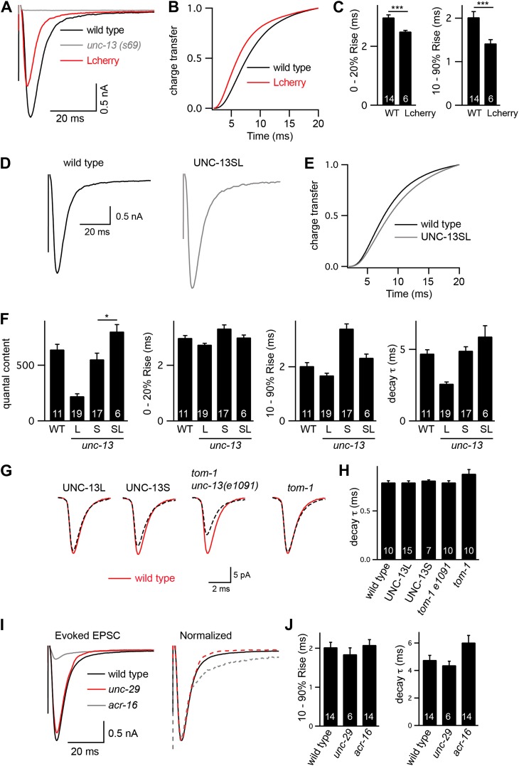 Figure 3—figure supplement 1.