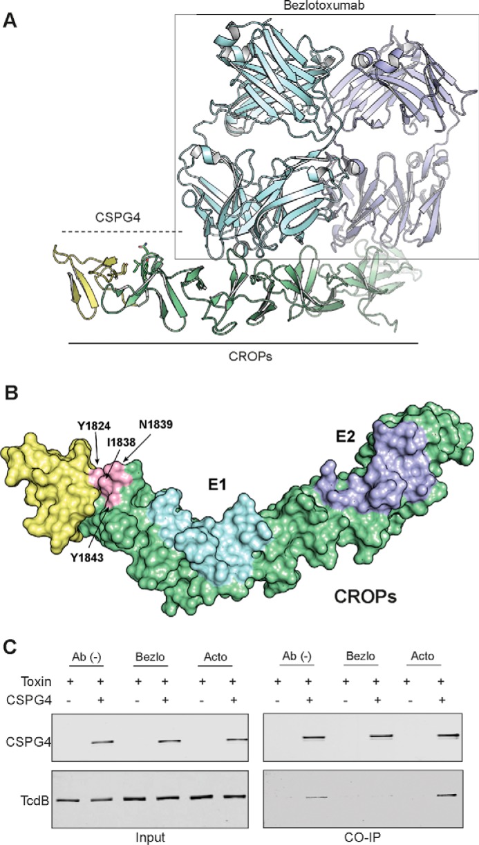 Figure 6.