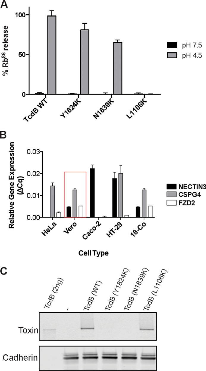 Figure 2.