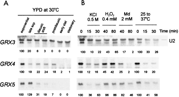 FIG. 7