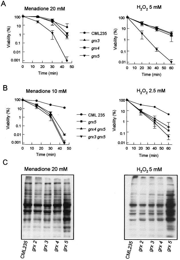 FIG. 4