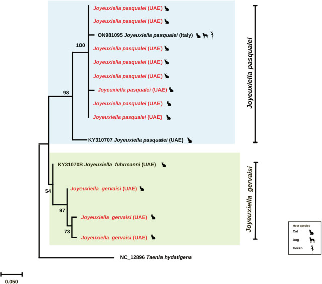 Fig. 7.