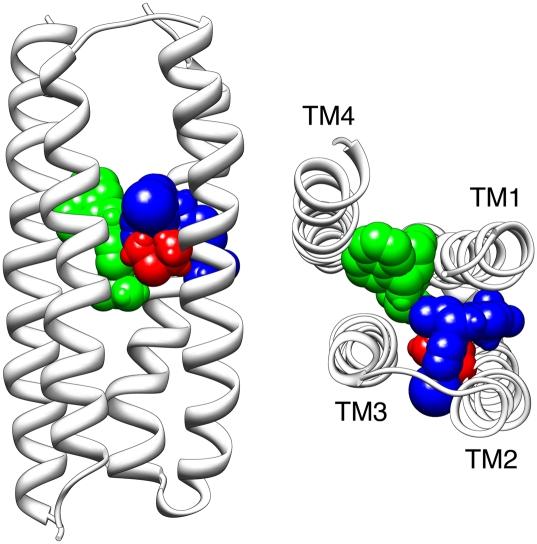 Fig. 8.