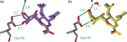 Fig. 4.