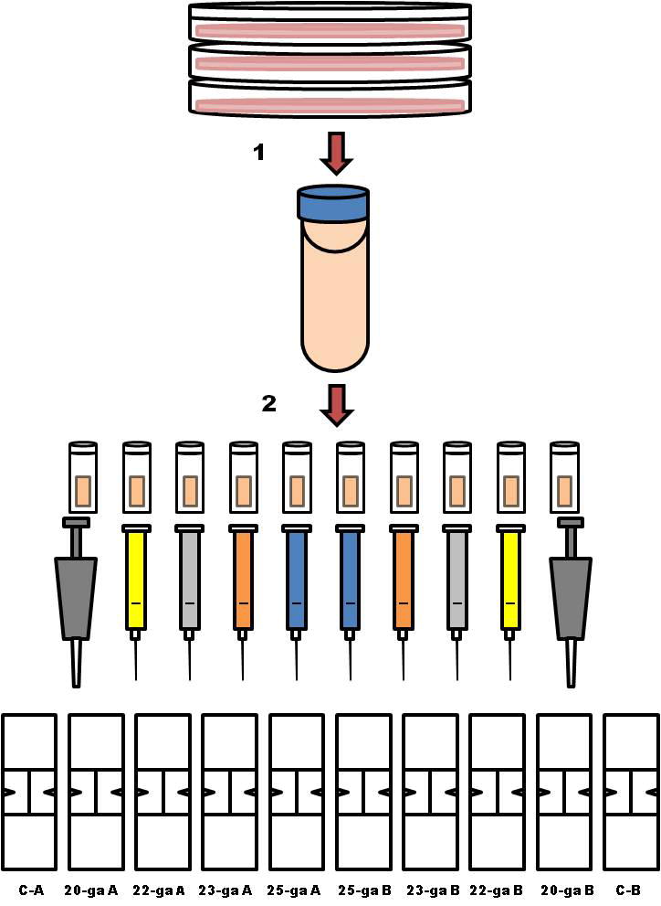 Fig 1