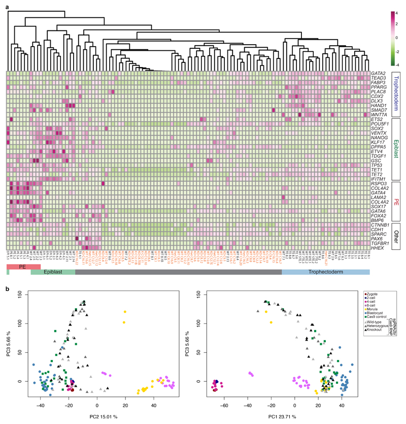 Extended Data Figure 9