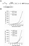 FIG. 3.
