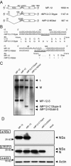 FIG. 2.