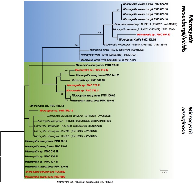 FIGURE 2