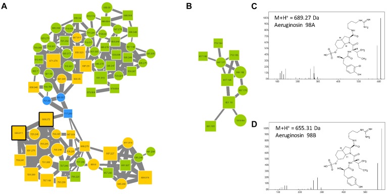 FIGURE 6