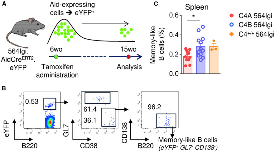 Figure 4.