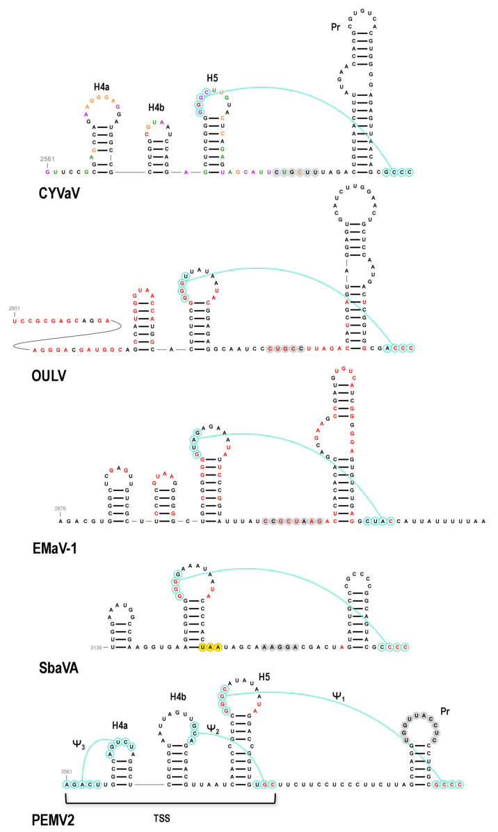 Figure 12