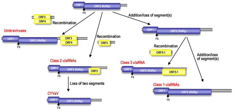 Figure 14