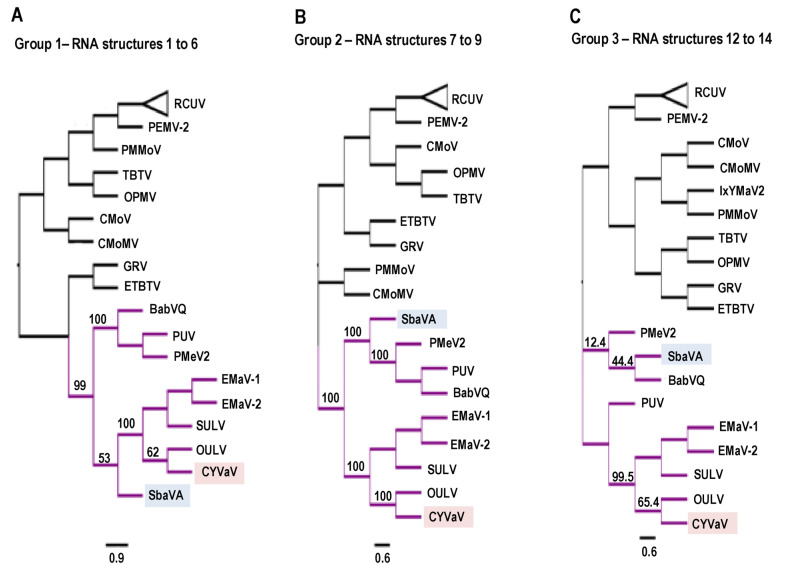 Figure 13