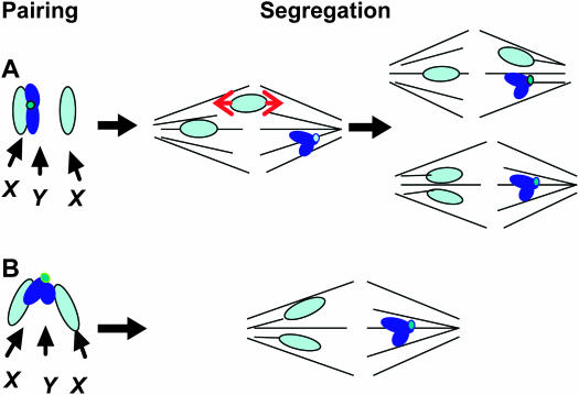 Figure 1.—