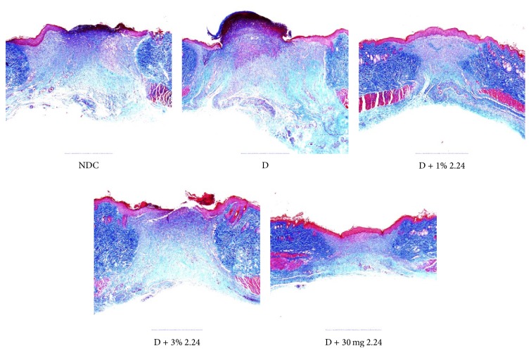 Figure 5