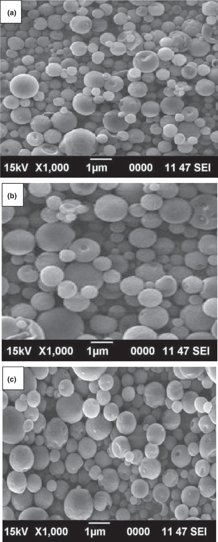 FIGURE 4